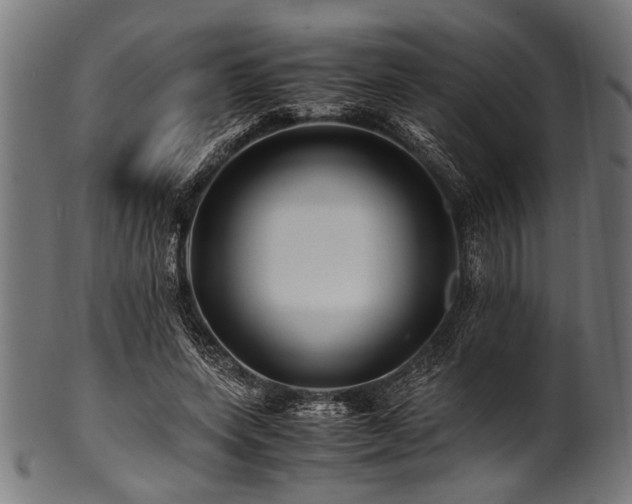 X0000100950543200806241506