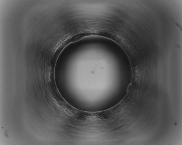 X0000100950544200806241506