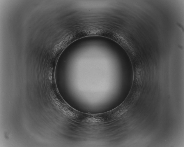 X0000100950545200806241506