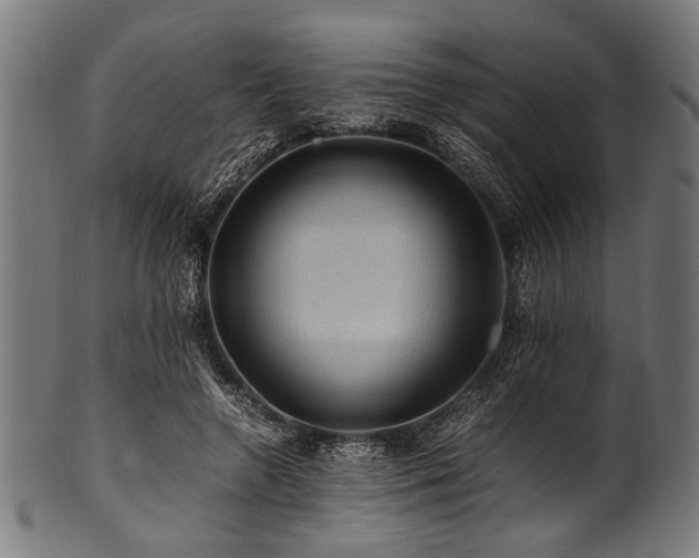X0000100950546200806241506