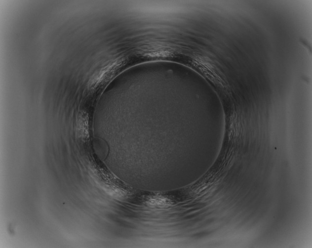 X0000100950547200806241506
