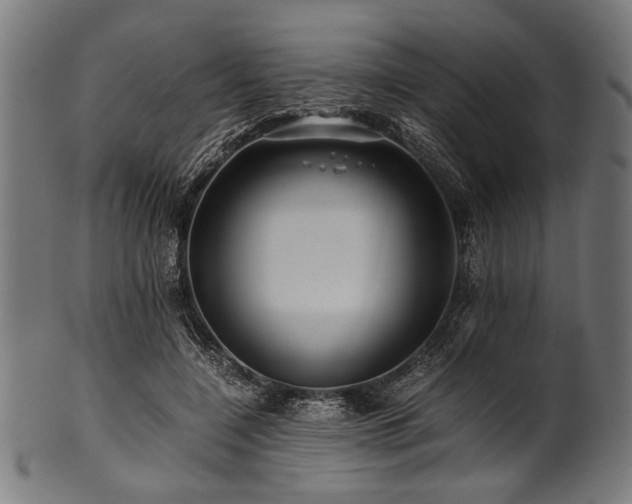 X0000100950548200806241506
