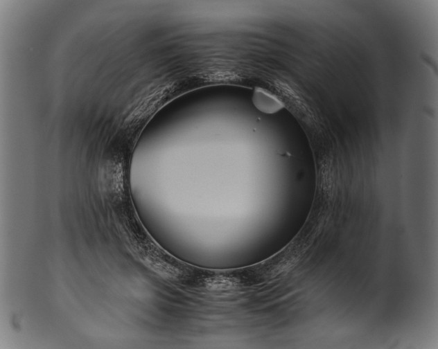 X0000100950549200806241506