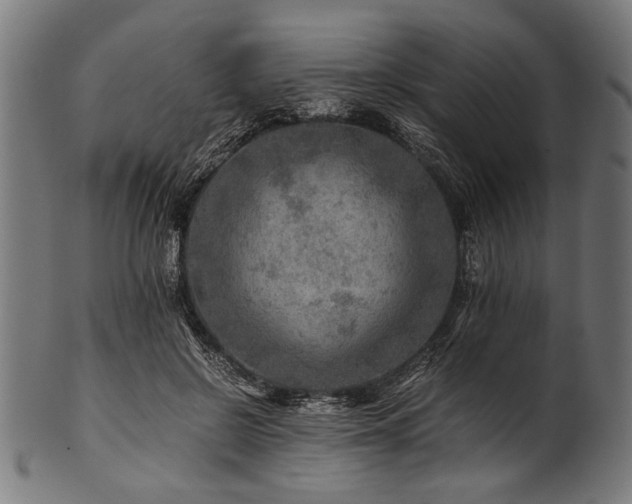 X0000100950550200806241506