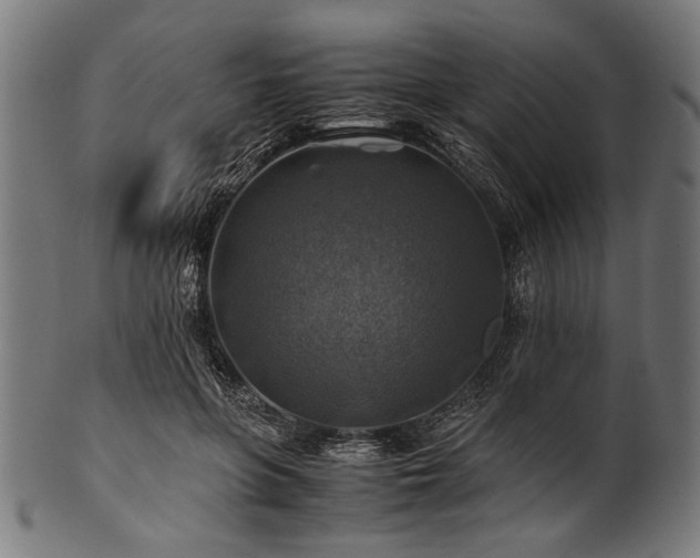 X0000100950551200806241506