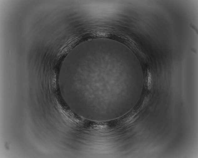 X0000100950552200806241506