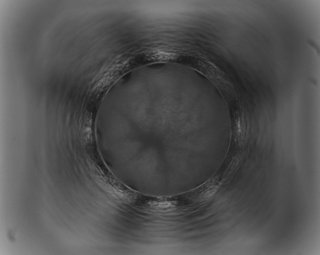 X0000100950553200806241506