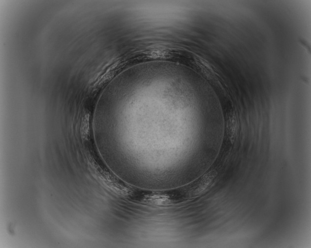 X0000100950554200806241506