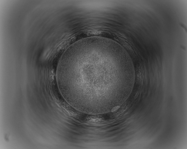 X0000100950555200806241506