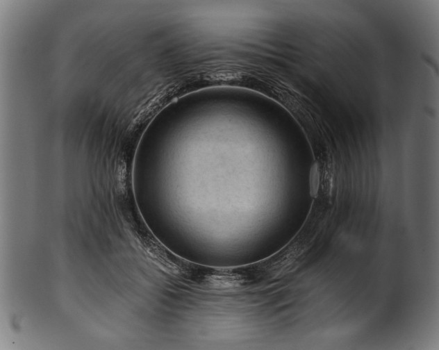 X0000100950556200806241506