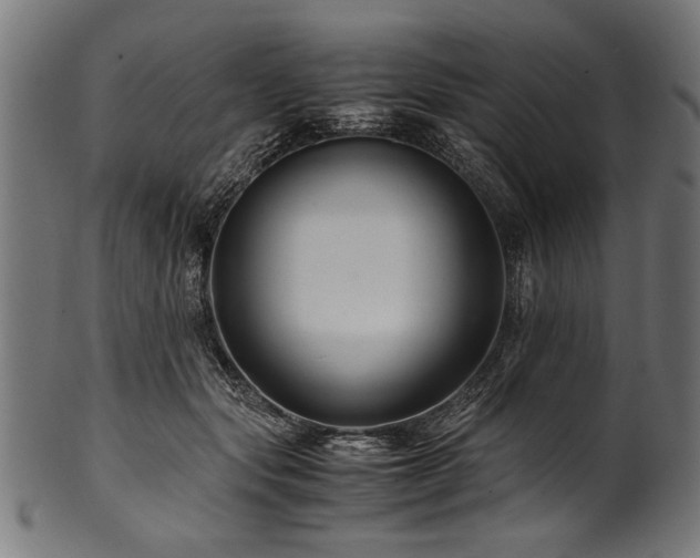 X0000100950557200806241506