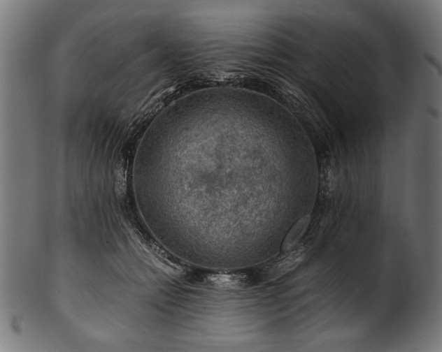 X0000100950558200806241506