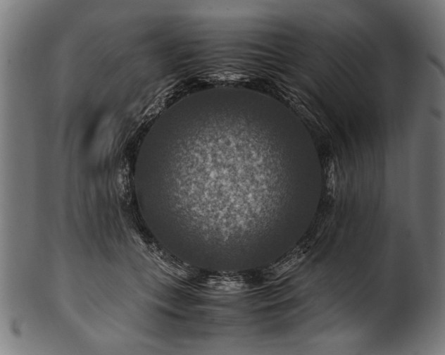 X0000100950559200806241506