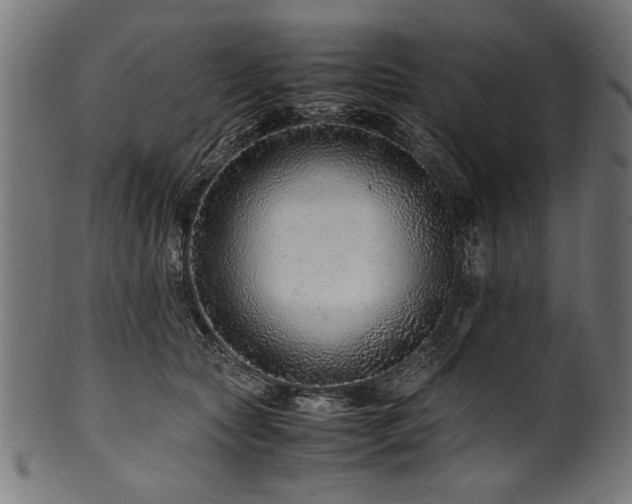 X0000100950561200806241506