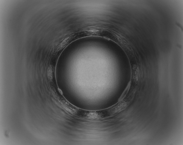 X0000100950562200806241506