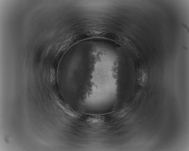 X0000100950563200806241506