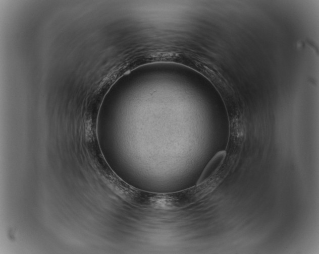 X0000100950564200806241506