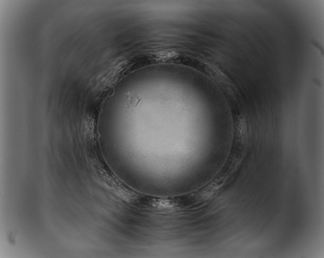 X0000100950565200806241506