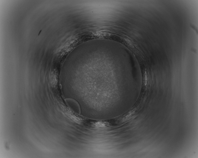 X0000100950566200806241506