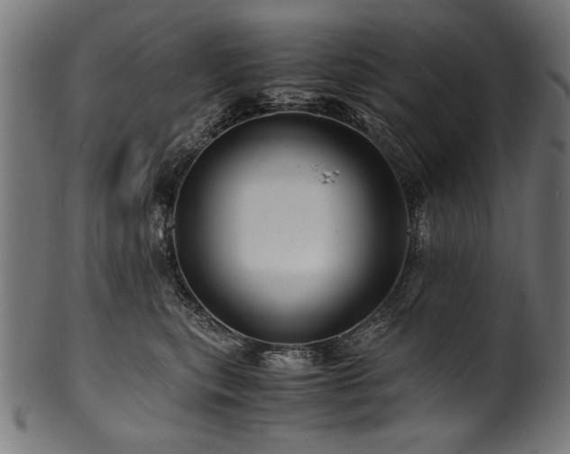 X0000100950567200806241506