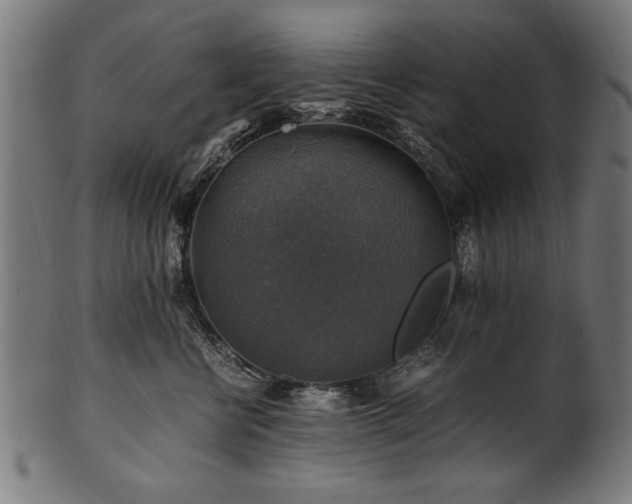 X0000100950570200806241506