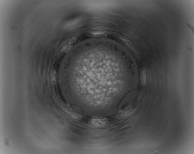 X0000100950571200806241506