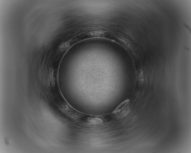 X0000100950572200806241506