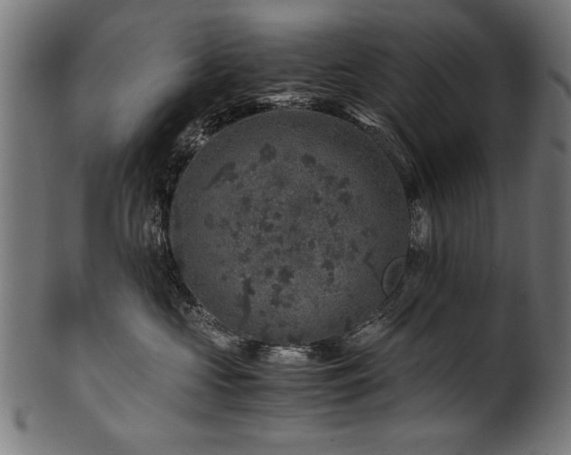 X0000100950573200806241506