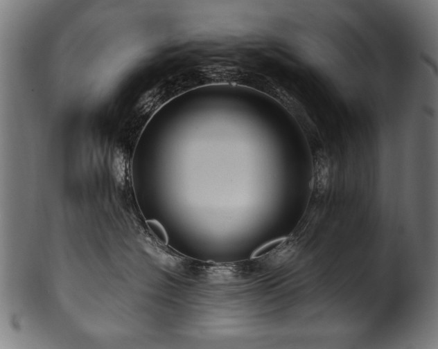X0000100950574200806241506