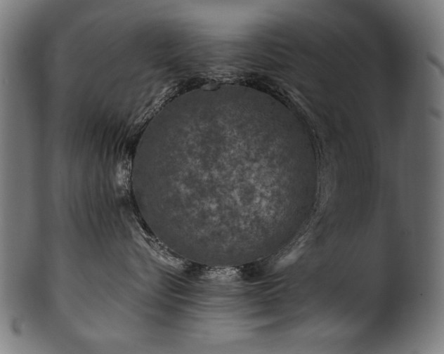 X0000100950576200806241506