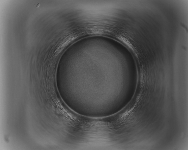 X0000100950577200806241506