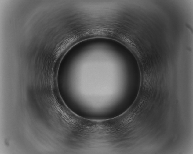 X0000100950578200806241506