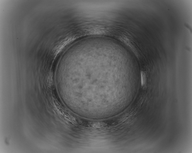 X0000100950579200806241506