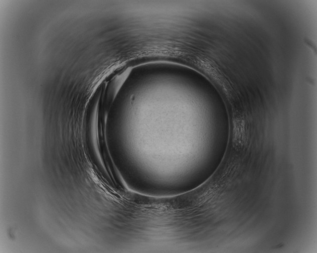 X0000100950580200806241506
