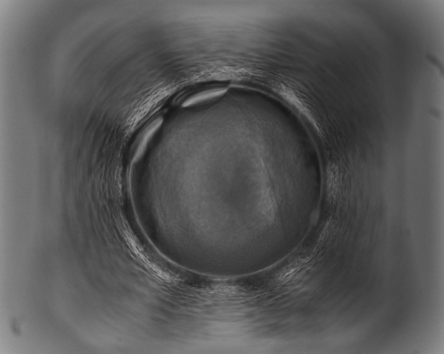 X0000100950581200806241506