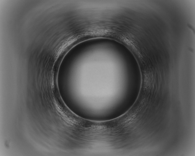 X0000100950582200806241506