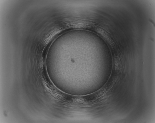 X0000100950583200806241505