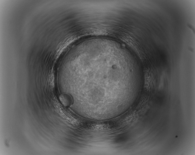 X0000100950584200806241505
