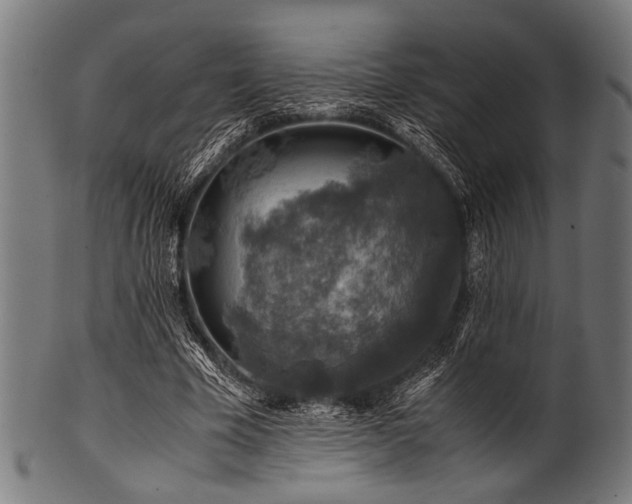 X0000100950585200806241505