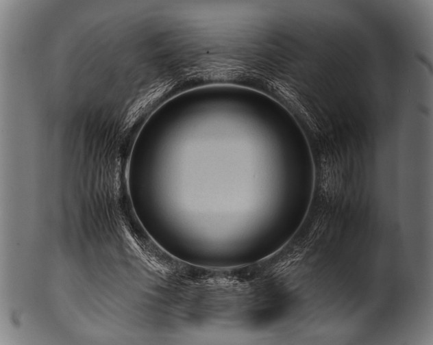 X0000100950586200806241505