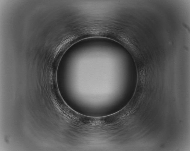 X0000100950587200806241505