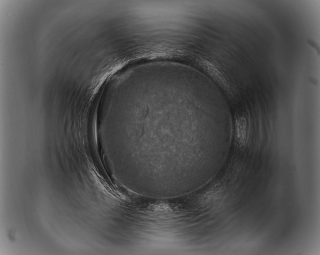 X0000100950588200806241505
