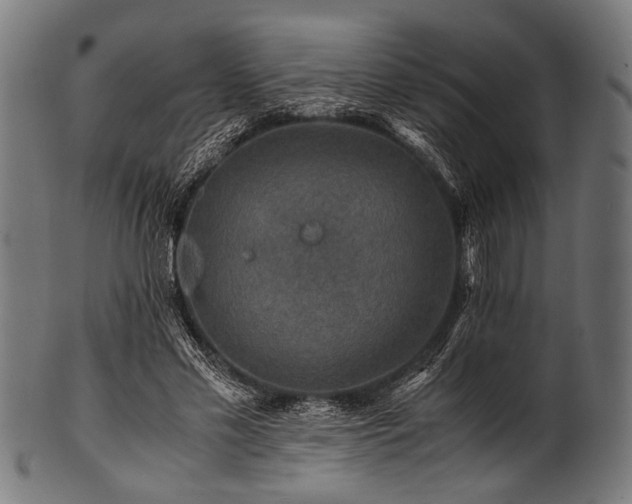 X0000100950589200806241505
