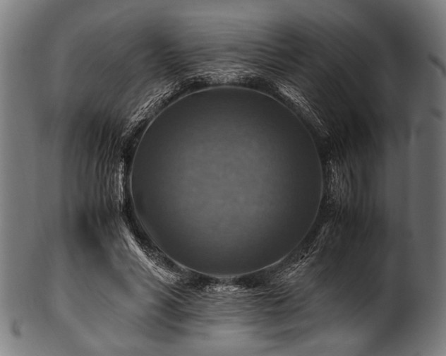 X0000100950590200806241505