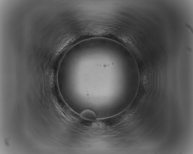 X0000100950591200806241505