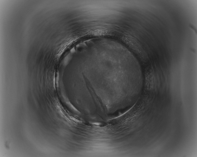 X0000100950592200806241505