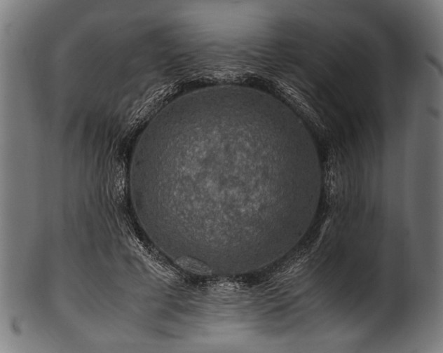X0000100950593200806241505