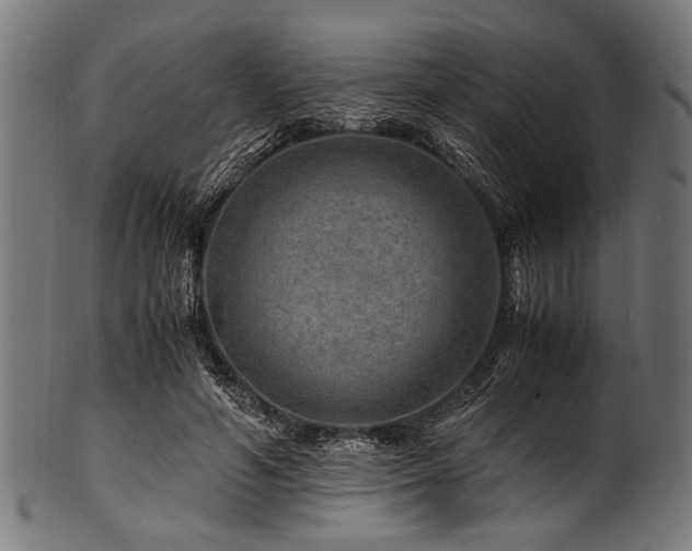 X0000100950594200806241505