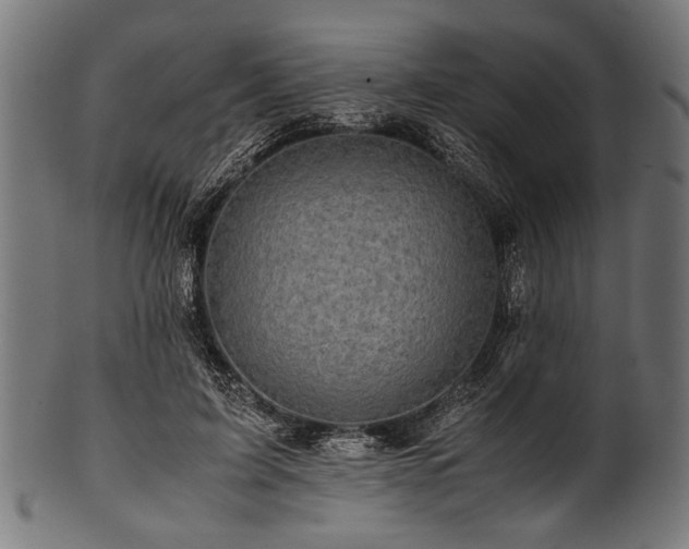 X0000100950595200806241505