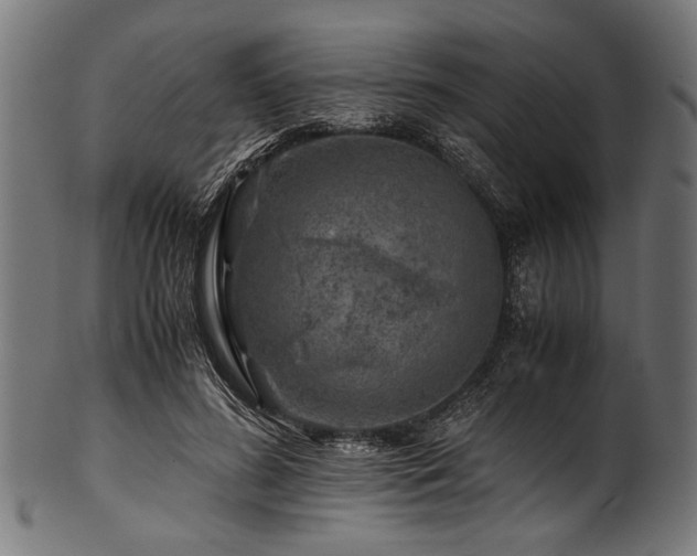 X0000100950596200806241505